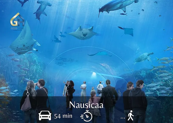 Cap Malo, Minute De La